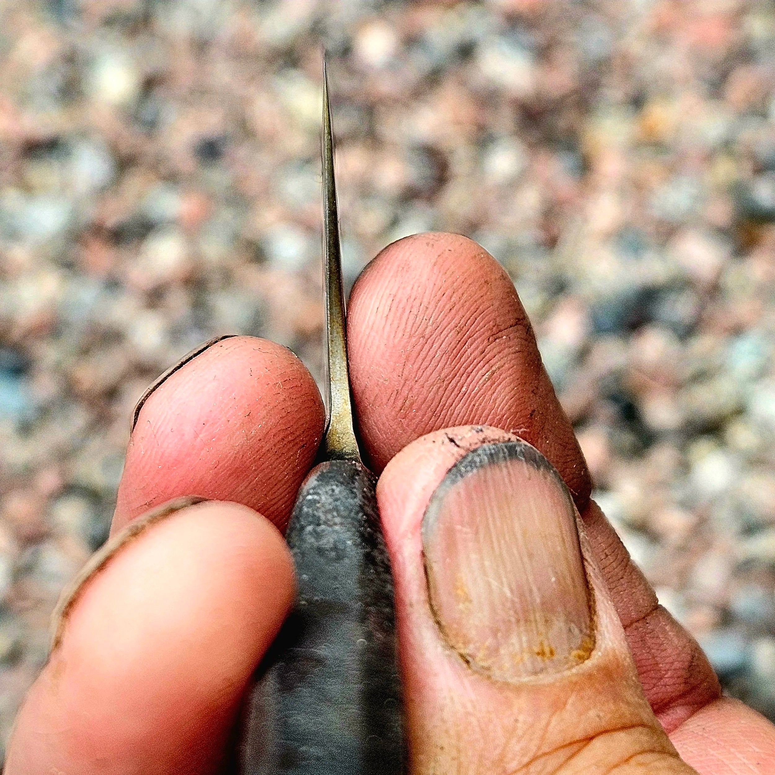 Eggen på en Full steel Apex Ultra Gyouto - handsmidd kökskniv av Silas Engström. Detalj egg